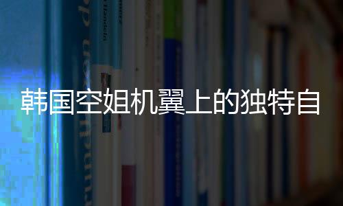 韓國空姐機翼上的獨特自拍，職業(yè)與生活的獨特交融