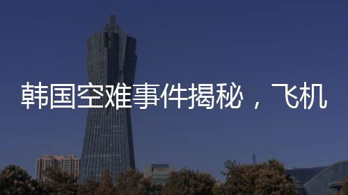 韓國(guó)空難事件揭秘，飛機(jī)發(fā)動(dòng)機(jī)吸入花臉鴨事件全過(guò)程解析