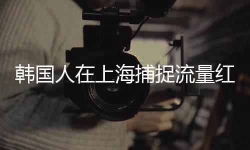 韓國人在上海捕捉流量紅利，成功變現(xiàn)引領(lǐng)新一波商機