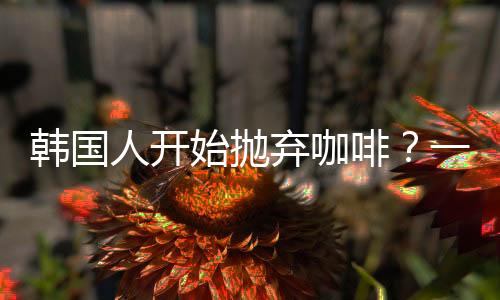 韓國人開始拋棄咖啡？一場文化和消費變革的探究