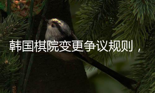 韓國棋院變更爭議規(guī)則，中國棋協(xié)積極回應(yīng)