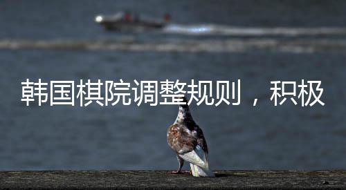 韓國棋院調(diào)整規(guī)則，積極應(yīng)對爭議，決定取消引發(fā)爭議的規(guī)則并通知中方做出改善的決定，尋求進(jìn)一步的友好合作與交流