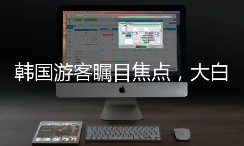 韓國(guó)游客矚目焦點(diǎn)，大白兔奶糖的甜蜜誘惑