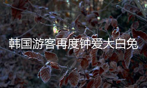 韓國游客再度鐘愛大白兔奶糖，文化與美味的交織