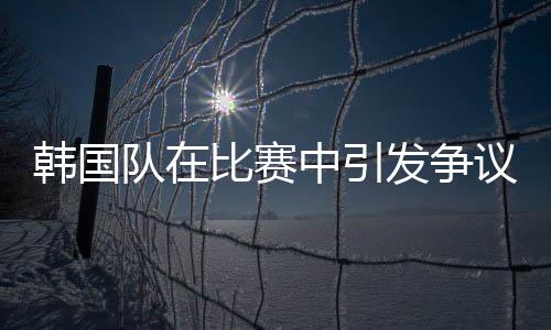 韓國隊在比賽中引發(fā)爭議，犯規(guī)行為及其影響