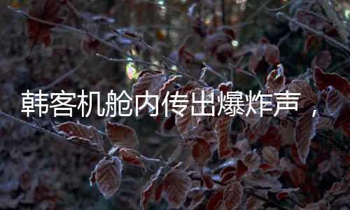韓客機(jī)艙內(nèi)傳出爆炸聲，機(jī)翼冒火緊急返航