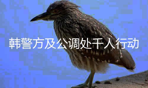 韓警方及公調(diào)處千人行動，尹錫悅逮捕行動嘗試