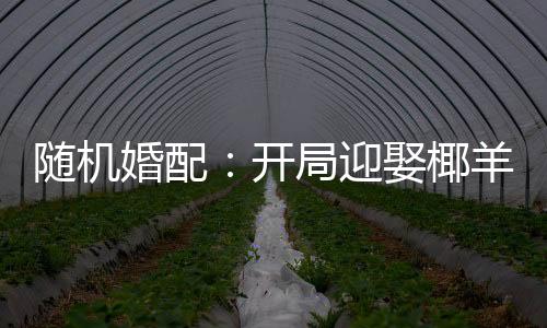 隨機婚配：開局迎娶椰羊甘雨