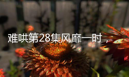 難哄第28集風(fēng)靡一時，引爆觀眾熱情