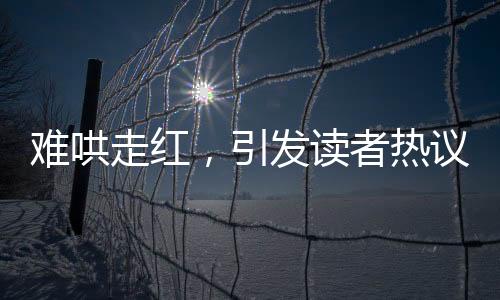 難哄走紅，引發(fā)讀者熱議