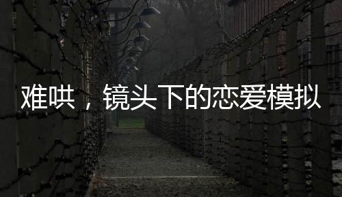 難哄，鏡頭下的戀愛模擬器，現(xiàn)實與虛擬的交織之旅