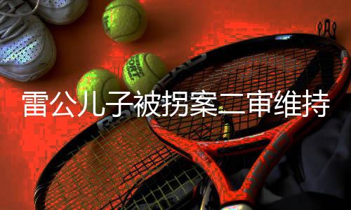 雷公兒子被拐案二審維持死刑，司法公正與社會正義的交匯點