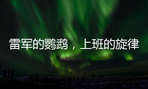雷軍的鸚鵡，上班的旋律與下班的韻律