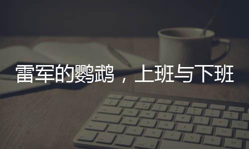 雷軍的鸚鵡，上班與下班的神奇故事