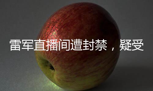 雷軍直播間遭封禁，疑受網(wǎng)友舉報(bào)深度探究