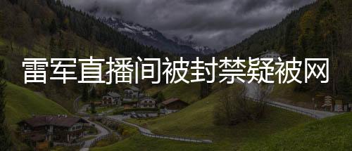 雷軍直播間被封禁疑被網(wǎng)友舉報(bào)，揭秘背后的故事與原因