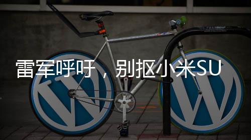 雷軍呼吁，別摳小米SU7 Ultra鍍金車標(biāo)