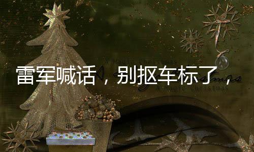 雷軍喊話，別摳車標(biāo)了，品質(zhì)與品牌共鑄未來