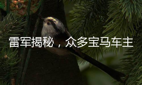 雷軍揭秘，眾多寶馬車主轉向小米，跨界融合引領智能生活新潮流