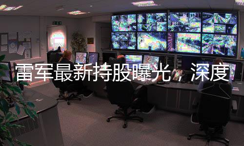 雷軍最新持股曝光，深度解析其在不同領(lǐng)域的投資布局與策略動(dòng)向