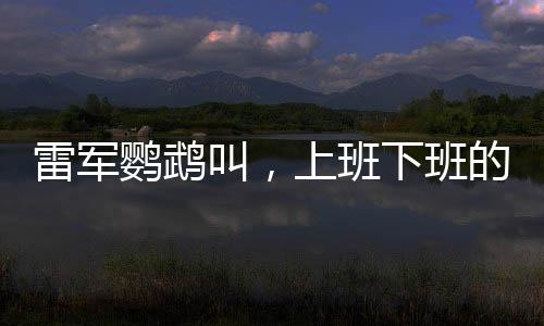 雷軍鸚鵡叫，上班下班的獨特故事