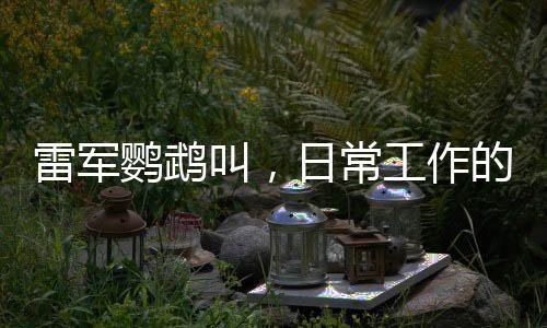 雷軍鸚鵡叫，日常工作的別樣呈現(xiàn)與辦公室的獨特生態(tài)體驗