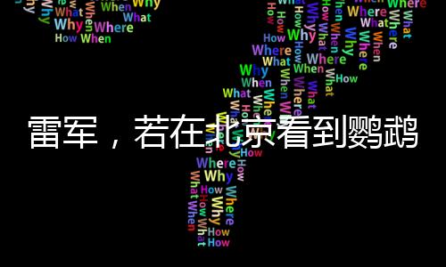雷軍，若在北京看到鸚鵡綠，那便是我