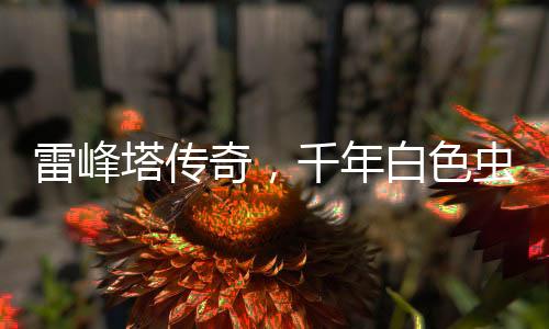 雷峰塔傳奇，千年白色蟲子的神秘傳說