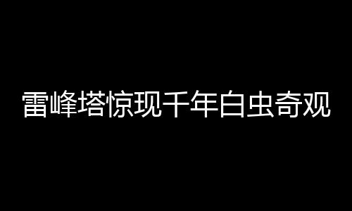 雷峰塔驚現(xiàn)千年白蟲奇觀