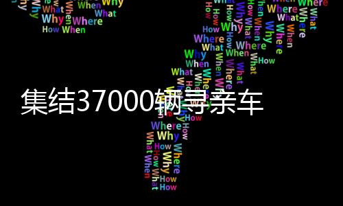 集結(jié)37000輛尋親車，一場(chǎng)跨越全國(guó)的尋親大行動(dòng)