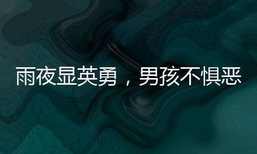 雨夜顯英勇，男孩不懼惡臭，黑洞中救出四只被困小狗