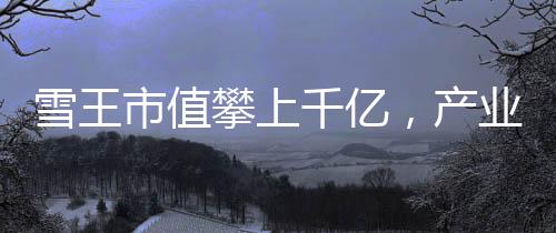 雪王市值攀上千億，產(chǎn)業(yè)巨頭迎來新里程碑