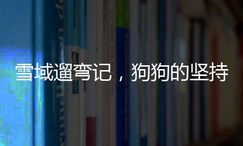 雪域遛彎記，狗狗的堅(jiān)持與主人的溫情