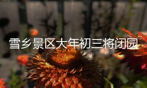 雪鄉(xiāng)景區(qū)大年初三將閉園？不實(shí)
