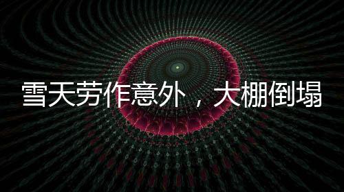 雪天勞作意外，大棚倒塌顯現(xiàn)英勇瞬間