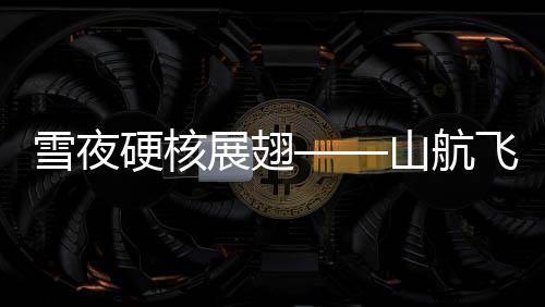 雪夜硬核展翅——山航飛機(jī)暴雪中起降的壯麗篇章