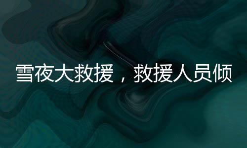 雪夜大救援，救援人員傾力救助野山中困陷的十一名驢友紀(jì)實(shí)