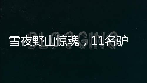 雪夜野山驚魂，11名驢友被困，年齡最大者達(dá)68歲