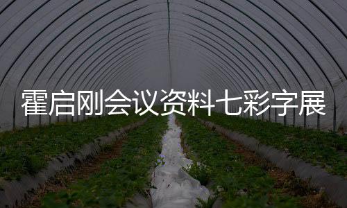 霍啟剛會議資料七彩字展現(xiàn)，展現(xiàn)獨特魅力與創(chuàng)新精神