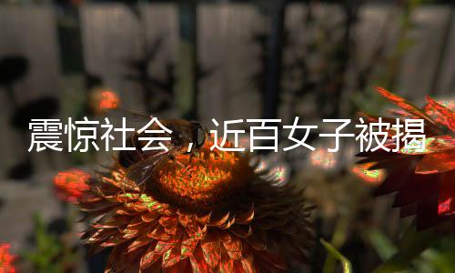 震驚社會，近百女子被揭露遭囚禁取卵事件