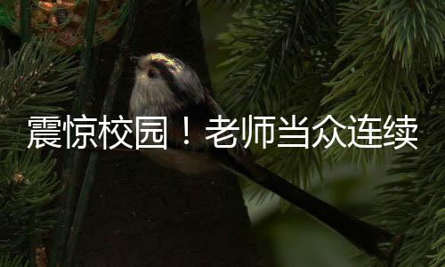 震驚校園！老師當眾連續(xù)掌摑學生，當?shù)鼗貞o急介入調(diào)查處理