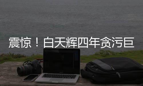 震驚！白天輝四年貪污巨額達(dá)11.08億，揭開金融腐敗的驚人內(nèi)幕
