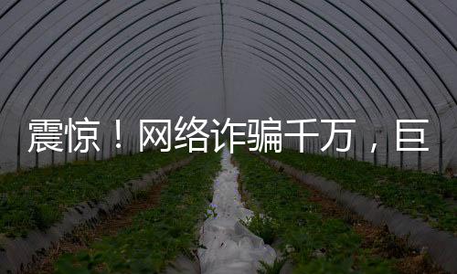 震驚！網(wǎng)絡(luò)詐騙千萬，巨額打賞700萬背后的故事