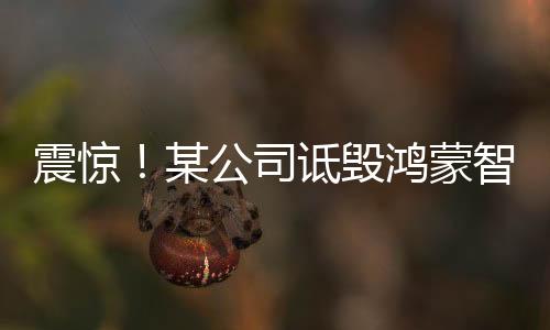 震驚！某公司詆毀鴻蒙智行，涉案多人被逮捕