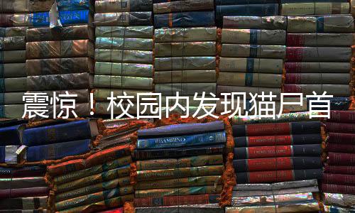 震驚！校園內(nèi)發(fā)現(xiàn)貓尸首分離被塞入課桌，引發(fā)關注與調(diào)查