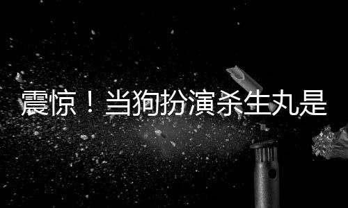震驚！當(dāng)狗扮演殺生丸是什么鬼？