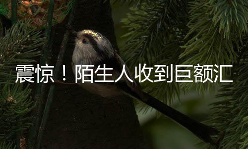 震驚！陌生人收到巨額匯款，1.7億巨額轉(zhuǎn)賬背后的故事