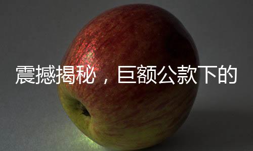 震撼揭秘，巨額公款下的男模追星夢——某單位高層揮霍450萬引發(fā)輿論風(fēng)波