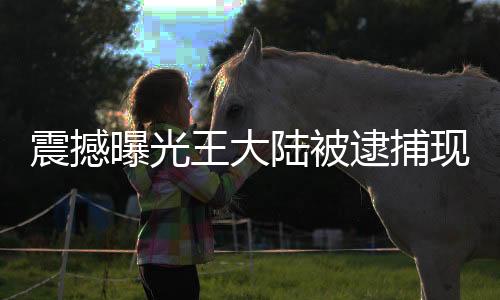 震撼曝光王大陸被逮捕現(xiàn)場曝光，娛樂圈再次掀起波瀾