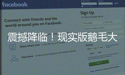 震撼降臨！現(xiàn)實(shí)版鵝毛大雪驚艷登場